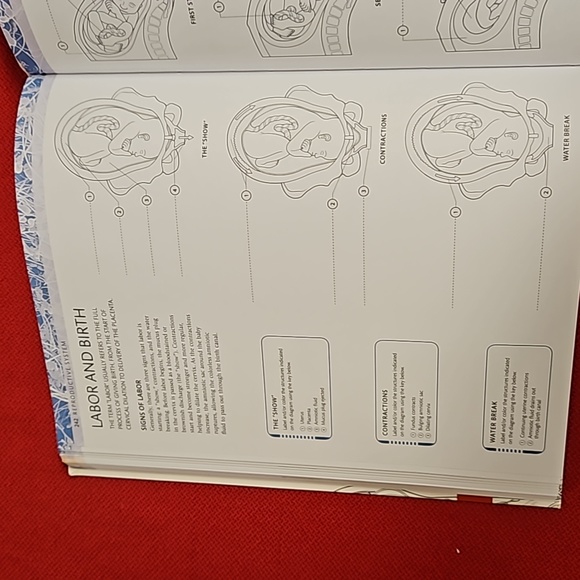 The Human Body Coloring Book the ultimate anatomy study guide 2011 DK reference - Picture 9 of 16